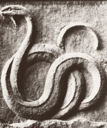 tumblr_mc0kp15NzV1rolsbao1_500