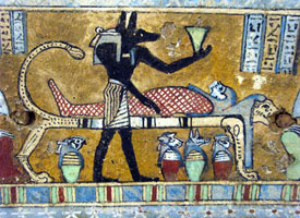 anubis6