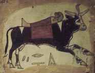 apiscoffineteeeeegsg