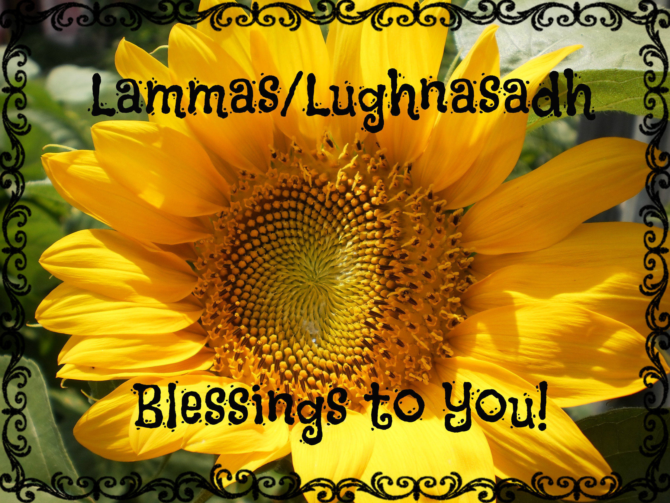 lughnasadhblessingstoyou